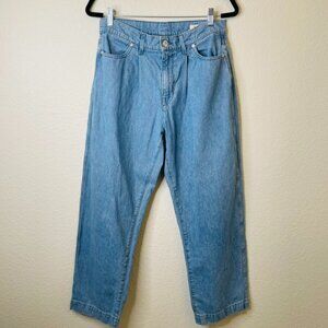 AYR The Hooky High-Rise Wide Leg Baggy Pleated Cotton Hemp Blend Jeans | Size 28